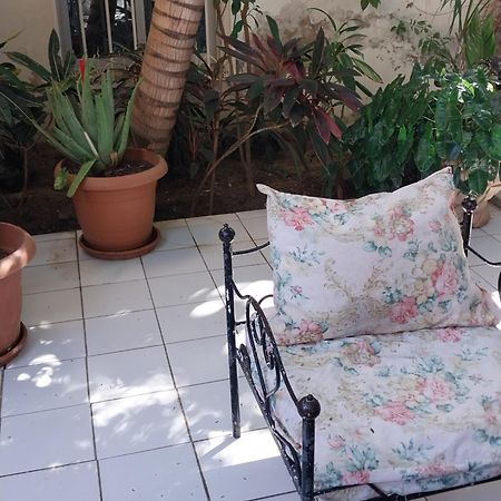 Chez Ousmane Fall Asecna Saint-Louis Eksteriør billede